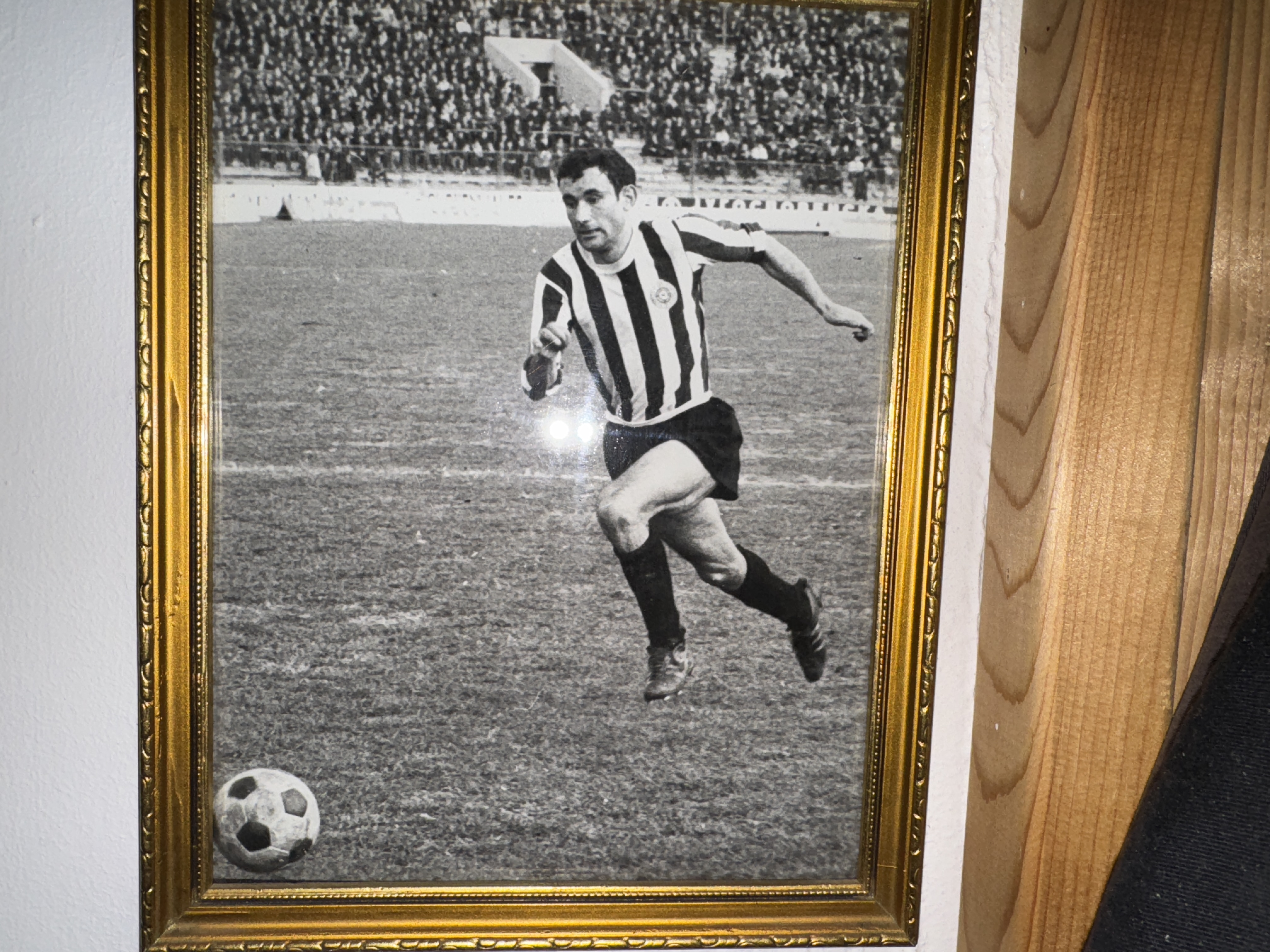 Mamio uzdahe u Humskoj foto Privatna arhiva