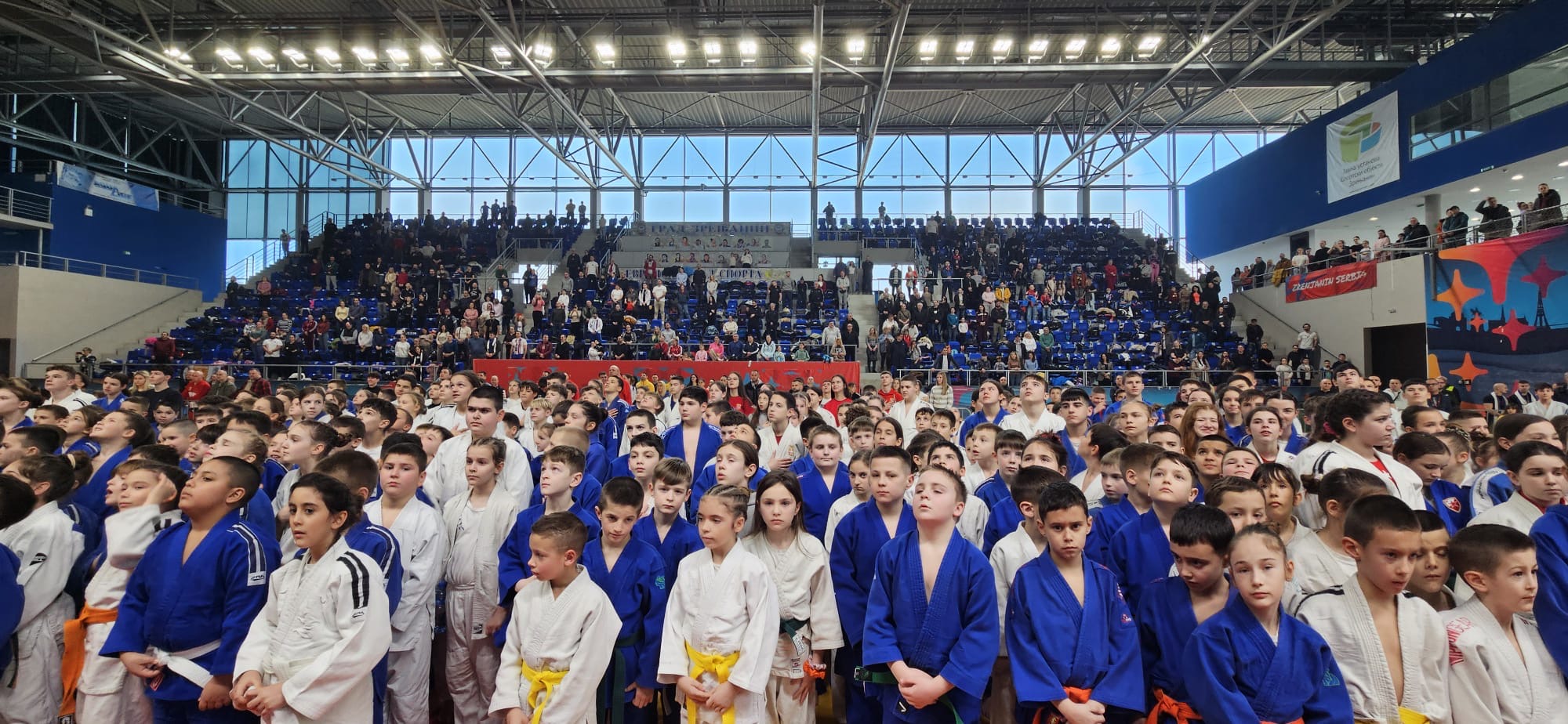 260f3c31 b1f0 4fc9 850c e1b563fb0ffa