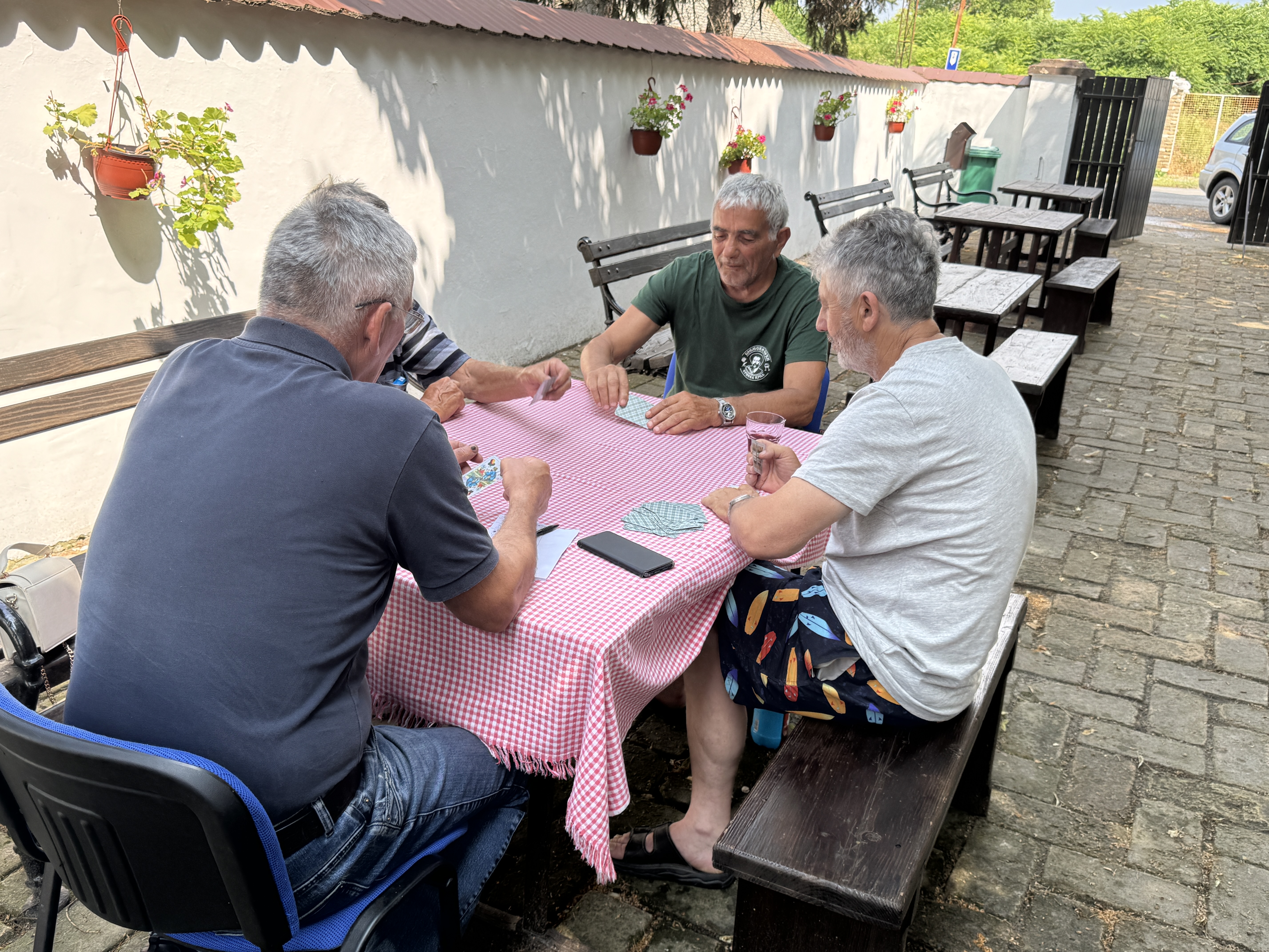 Karirani crveni stoljnak foto B.Grujić
