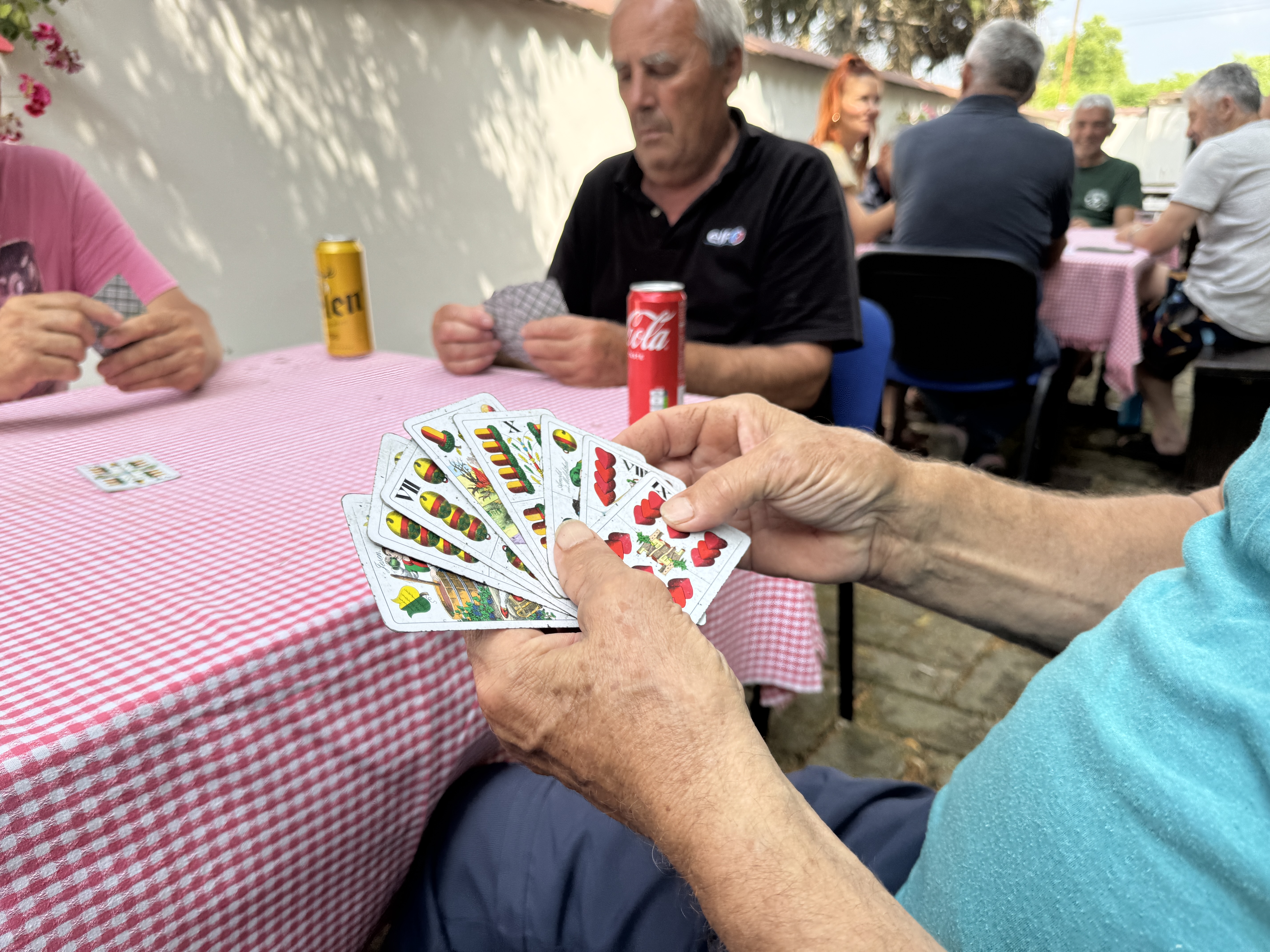 Mađarice foto B.Grujić 1
